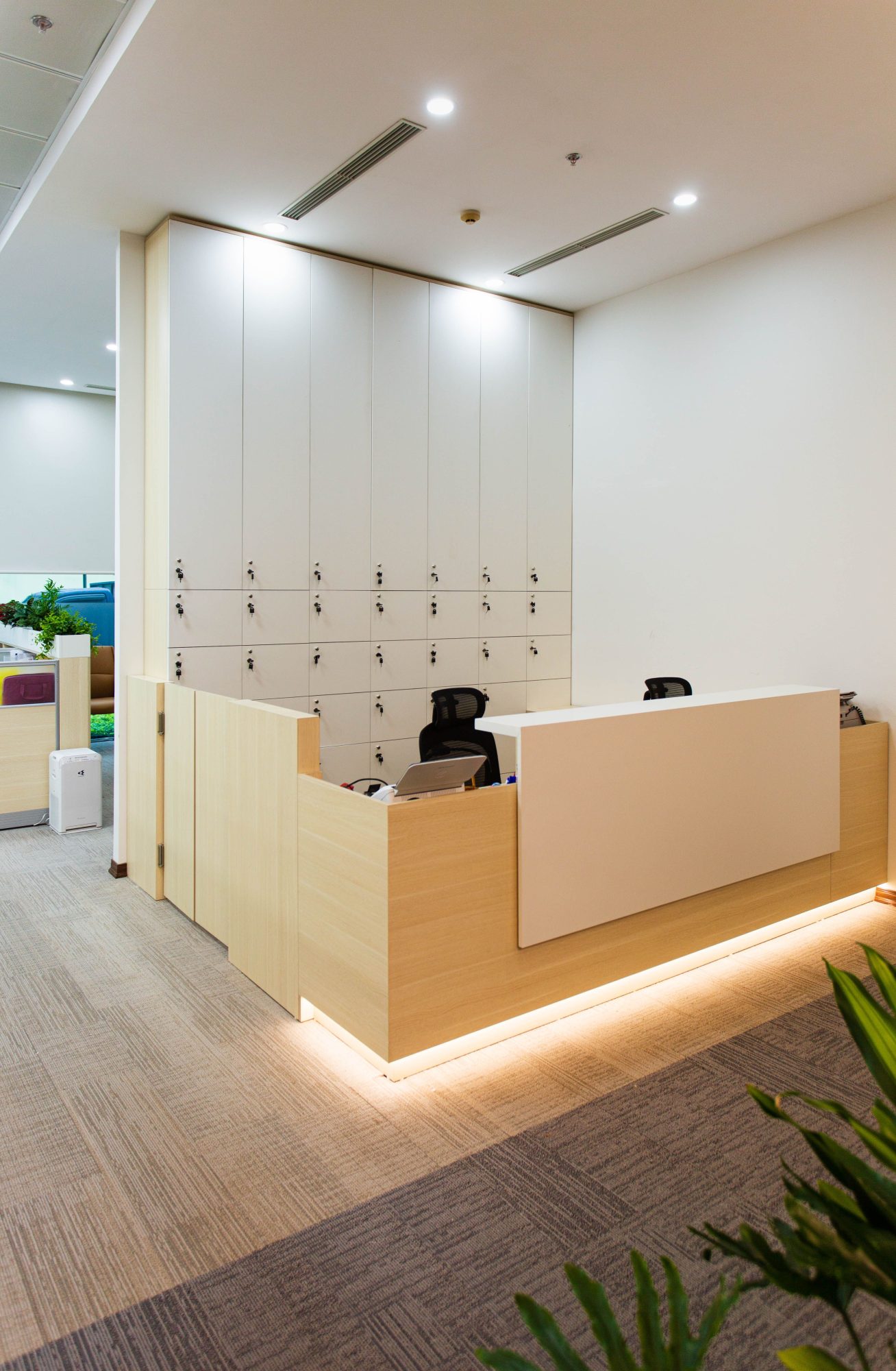 Smilecare Dental contact